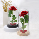 Rosa Encantada Luminária Led