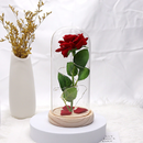 Rosa Encantada Luminária Led