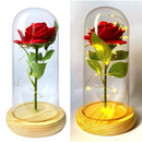 Rosa Encantada Luminária Led