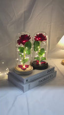 Rosa Encantada Luminária Led